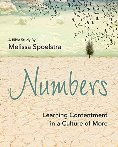 Book cover for Numbers - Women's Bible Study Participant Workbook: Learning Contentment in a Culture of More by Spoelstra, Melissa