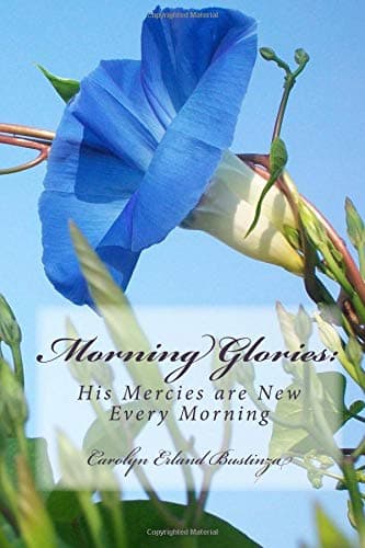 Book cover for Morning Glories:: His Mercies are New Every Morning by Bustinza, Carolyn