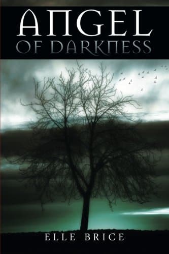Book cover for Angel of Darkness by Brice, Elle