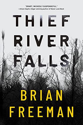 Book cover for Thief River Falls by Freeman, Brian
