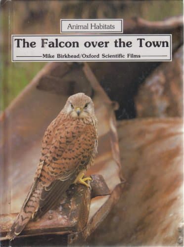 Book cover for The Falcon over the Town (Animal Habitats Series) by Birkhead, Mike