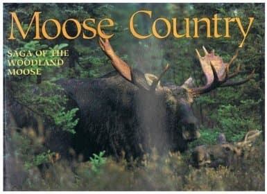Book cover for Moose Country: Saga of the Woodland Moose (Wildlife Country) by Runtz, Michael W. P.