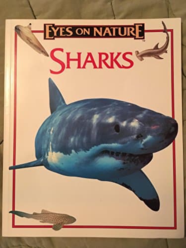 Book cover for Sharks (Eyes on Nature Series) by Jane Parker Resnick