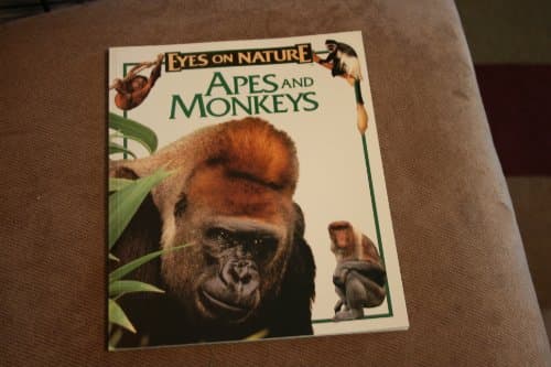 Book cover for Apes and Monkeys (Eyes on Nature) by Grassy, John