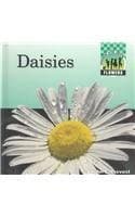 Daisies (Flowers)