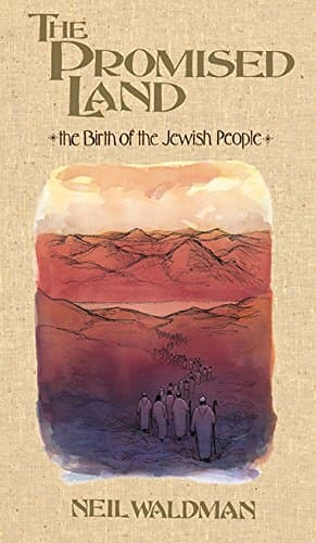 Book cover for The Promised Land by Waldman, Neil