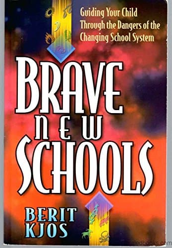 Book cover for Brave New Schools by Kjos, Berit