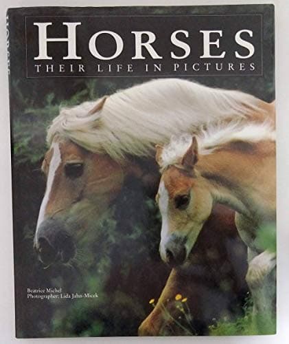 Book cover for Horses: Their Life in Pictures by Beatrice Michel