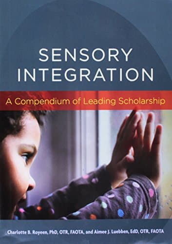 Sensory Integration: A Compendium of Leading Scholarship (English and Ukrainian Edition)