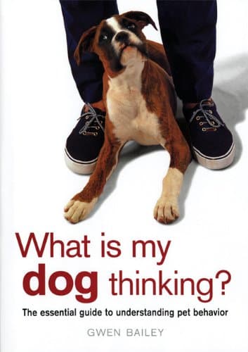 Book cover for What Is My Dog Thinking?: The Essential Guide to Understanding Pet Behavior by Bailey, Gwen