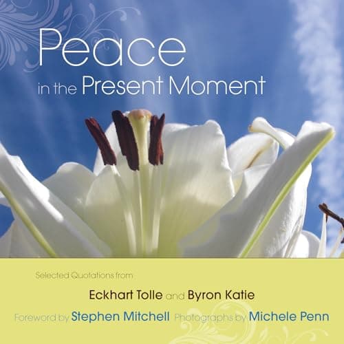 Book cover for Peace in the Present Moment by Tolle, Eckhart