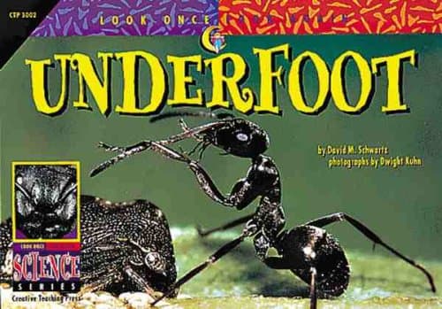Book cover for Underfoot (Look Once, Look Again Science Series) by Schwartz, David M.