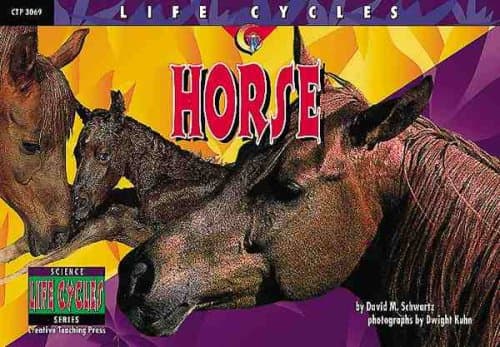 Book cover for Horse (Life Cycles) by Schwartz, David M.