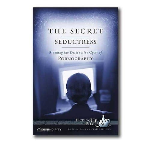 Book cover for The Secret Seductress: Breaking the Destructive Cycle of Pornography (Picking Up the Pieces) by Mark Laaser