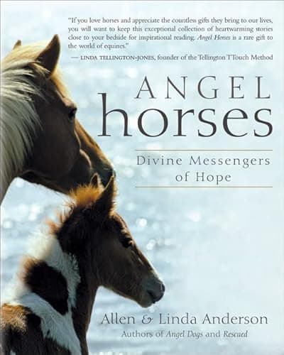 Book cover for Angel Horses: Divine Messengers of Hope by Anderson, Allen