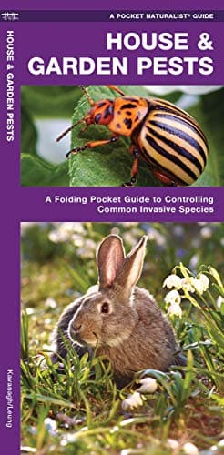 Book cover for House & Garden Pests: How to Organically Control Common Invasive Species (A Pocket Naturalist Guide) by Kavanagh, James