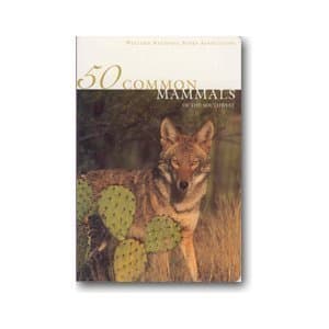 50 Common Mammals of the Southwest