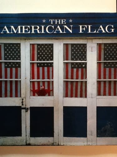 Book cover for The American Flag by Metro Books