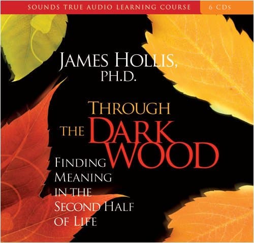 Book cover for Through the Dark Wood: Finding Meaning in the Second Half of Life by Hollis Ph.D., James