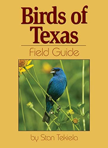 Book cover for Birds of Texas Field Guide (Bird Identification Guides) by Tekiela, Stan