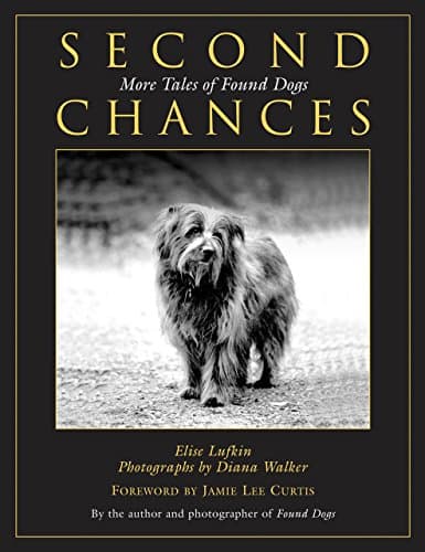 Second Chances: More Tales Of Found Dogs