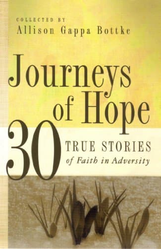 Book cover for Journeys of Hope: 30 True Stories of Faith in Adversity by Bottke, Allison Gappa