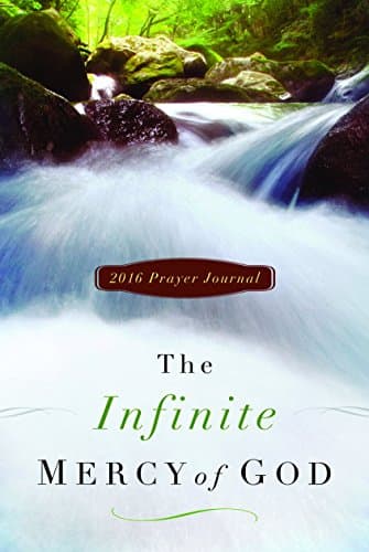 Book cover for The Infinite Mercy of God: Prayer Journal 2016 by The Word Among Us Press
