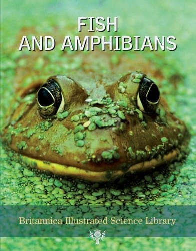 Book cover for Fish and Amphibians (Britannica Illustrated Science Library) by Encyclopaedia Britannica, Inc.