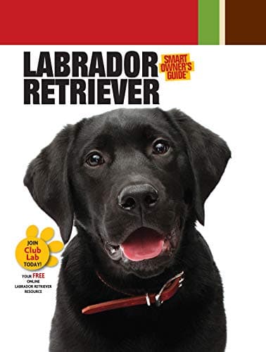 Book cover for Labrador Retriever (CompanionHouse Books) Breed Details and Expert Advice on Adopting, Training, Solving Bad Behavior, Feeding, Exercising, and Caring for Your New Best Friend (Smart Owner's Guide) by Dog Fancy Magazine
