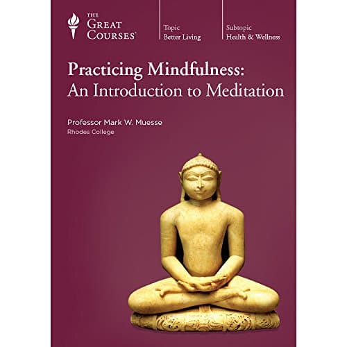 Book cover for Practicing Mindfulness: An Introduction to Meditation by Mark W. Muesse