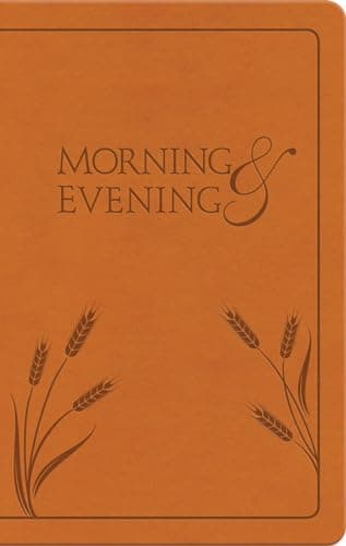 Book cover for Morning and Evening: New International Version by Spurgeon, Charles H.