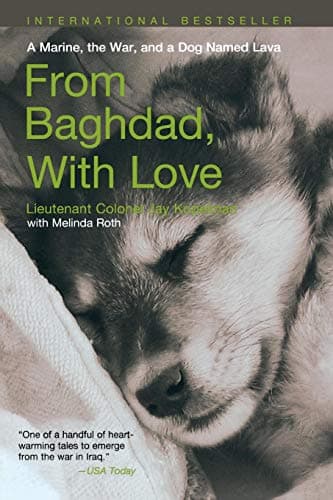 Book cover for From Baghdad with Love: A Marine, The War, And A Dog Named Lava by Kopelman, Jay
