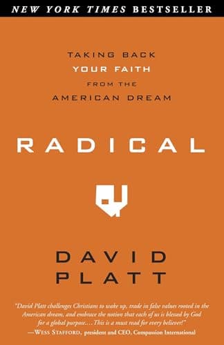 Book cover for Radical: Taking Back Your Faith from the American Dream by Platt, David