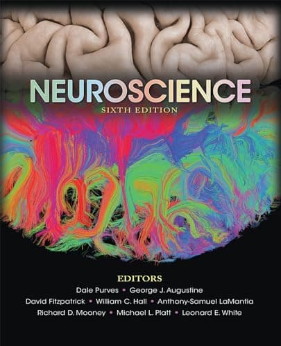 Book cover for Neuroscience by Purves, Dale