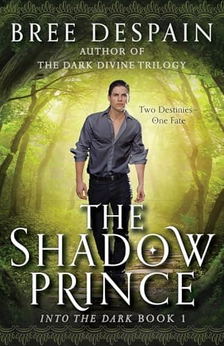 Book cover for The Shadow Prince (Into the Dark) by Despain, Bree