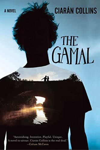 Book cover for The Gamal: A Novel by Collins, Ciarán