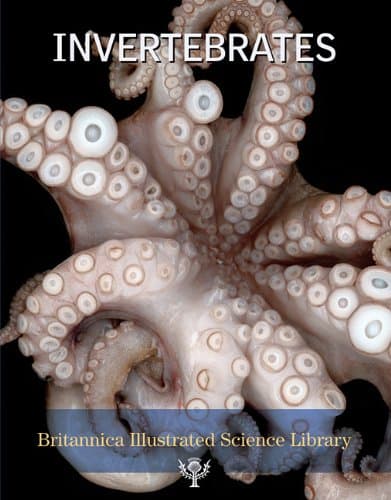 Book cover for Invertebrates (Britannica Illustrated Science Library) by Encyclopaedia Britannica, Inc.