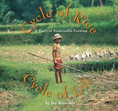 Book cover for Cycle of Rice, Cycle of Life: A Story of Sustainable Farming by Jan Reynolds