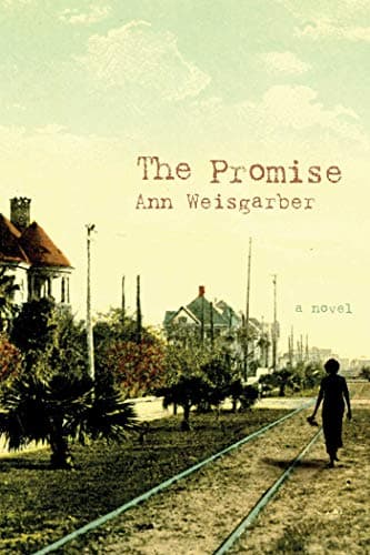 Book cover for The Promise by Weisgarber, Ann