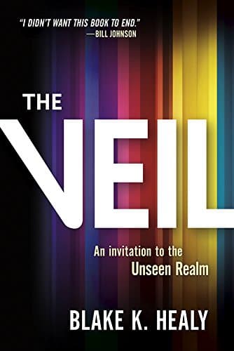 Book cover for The Veil: An Invitation to the Unseen Realm by Healy, Blake K.