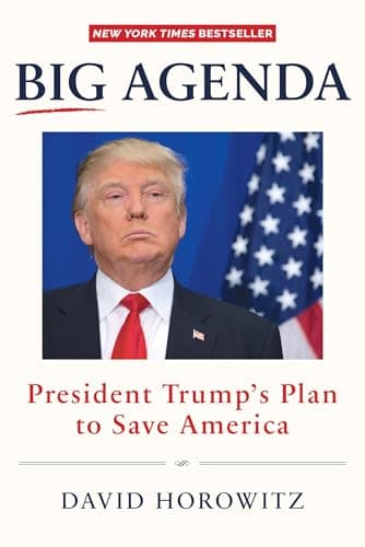 Book cover for Big Agenda: President Trump's Plan to Save America by Horowitz, David