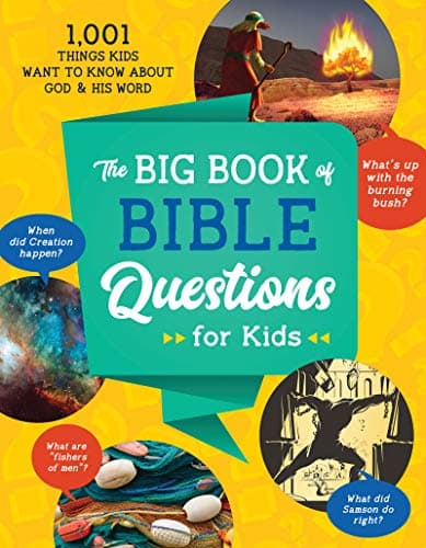 Book cover for The Big Book of Bible Questions for Kids by Sumner, Tracy M.