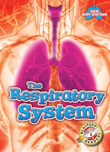 Book cover for The Respiratory System (Your Body Systems: Blastoff! Readers, Level 3) by Rebecca Pettiford