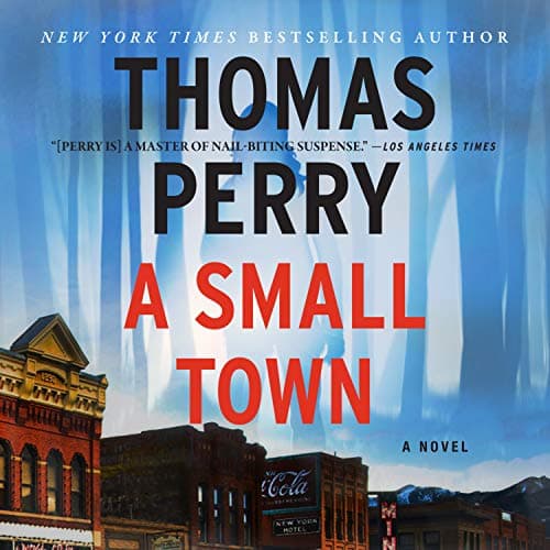 Book cover for A Small Town by Perry, Thomas