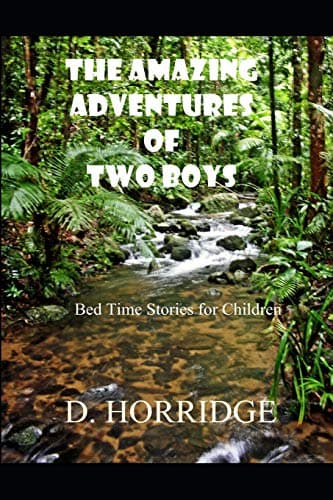 Book cover for THE AMAZING ADVENTURES OF TWO BOYS: Bed Time Stories for Children (THE AMAZING ADVENTURES OF TWO CHILDREN) by Horridge, D. L.