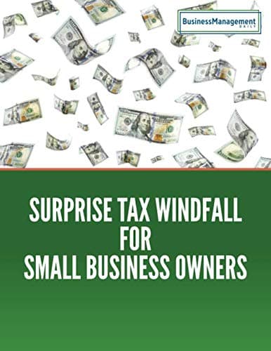 Book cover for Surprise Tax Windfall for Small Business Owners by Daily, Business Management