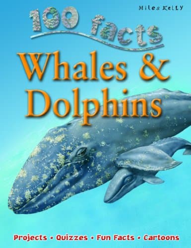 Book cover for Whales & Dolphins (100 Facts) by Parker, Steve