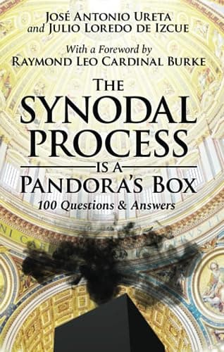 Book cover for The Synodal Process Is a Pandora's Box: 100 Questions & Answers by Ureta, José  Antonio