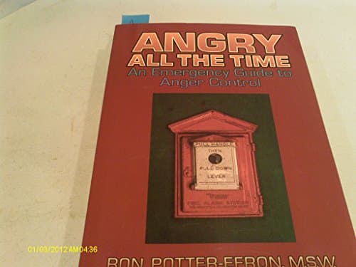 Book cover for Angry All the Time : An Emergency Guide to Anger Control by Ron Potter-Efron