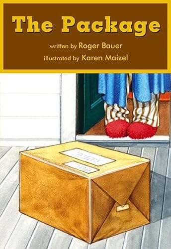 Book cover for The Package by Roger Bauer